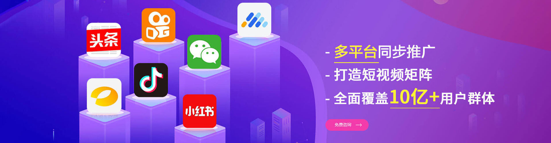 金秀sem运营